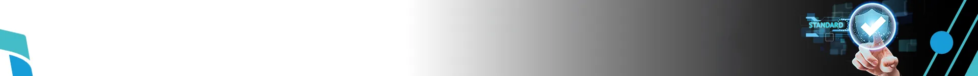 Internal Audit Control Assurance Services