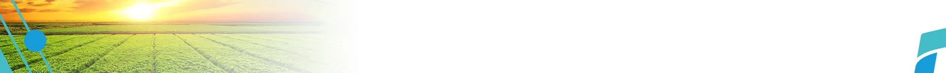 Knowing Agriculture Arabic