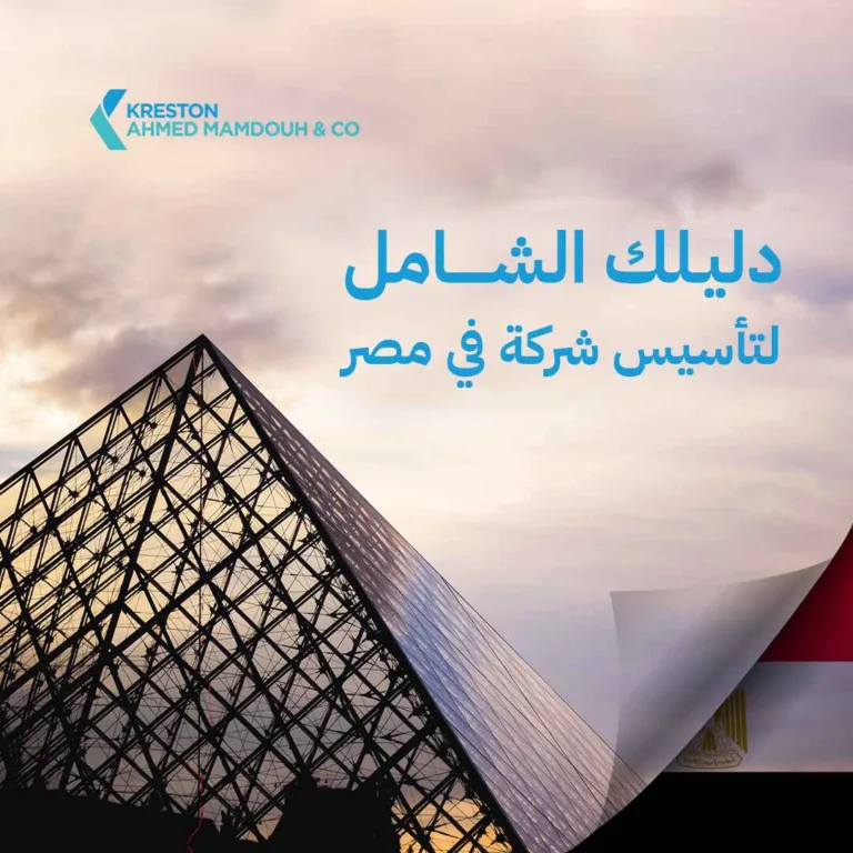 دليلك الشامل لتأسيس شركة في مصر